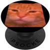Cat Meme Funny Cute Humor Graphics Meme sfocato divertente gatto arancione PopSockets PopGrip Adesivo