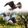 Skystuff 5 Pezzi Aquila per Dissuasori Piccioni, Spaventa Uccelli e Allontana Piccioni, Da Appendere Cartone Silhouette Piatta con Stampa su Due Lati, Dissuasore per Esterno per Terrazza, Veranda, Giardino