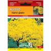 Sicignano Casalinghi Ingrosso Casalinghi Sicignano | Semi Alisso Nano Giallo, Pianta Biennale con Fiori Gialli a Grappolo, Busta Extra - 4 Confezioni da 0.4g, Produce Numerosi Fiori Gialli, Pianta da Vaso, Adatta a Pieno Sole