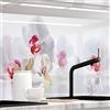 StickerProfis - Pannello Paraschizzi Cucina Adesivo da Parete, HiGloss, 1.8 mm, Tutte Le superfici - Insieme di Orchidee - (ORCHIDEEN Ensemble) Premium 60 x 500cm