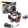 Area1 Statore alternatore di ricambio compatibile con Atlantis, compatibile con Storm, Ice, Runner, Stalker, DNA, compatibile con Liberty, Fly, NRG 50ccm (dal 99)
