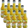 AGRO PIC 100% Succo di Arancia Biologico, Senza Zuccheri Aggiunti, Senza Conservanti, Bottiglia di Vetro, 200 ml (12, M)