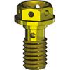 BRN VITE PER BANJO M6 7075