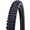 SCHWALBE COPERTURA SCHWALBE HANS DAMPF EVO STSG 29 x 2.35 HS491 NERA
