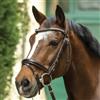 Pariani Promo BRIGLIA BICOLOR CRYSTAL PARIANI PROMO