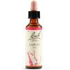 SCHWABE PHARMA ITALIA Srl Larch Bach Orig 20ml
