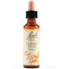 SCHWABE PHARMA ITALIA Srl Cherry plum bach orig 20 ml
