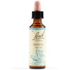 SCHWABE PHARMA ITALIA Srl Beech bach orig 20 ml
