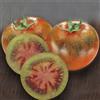 3 PIANTE IN VASO Ø 10CM DI POMODORO REGINELLA SARDO ORTOMIO orto giardino