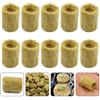 Wenxiaw 50 Pezzi Rockwool Cube, Cubi Lana Roccia Coltivazione Rockwool Propagazione Idroponica Giardinaggio Lana di Roccia Rockwool Starter Spine Per Verdure la Coltivazione Talee, cilindrico, 2X2,7 cm