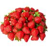 LATRAT 30 pezzi di plastica artificiale fragola, frutta artificiale, frutti realistici finti, fragole di plastica, per feste, matrimoni, decorazione festival, fotografia