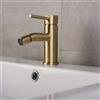 SEKOVA Rubinetto per bidet in ottone da bagno in oro spazzolato Miscelatore per acqua calda e fredda Fucet per lavabo