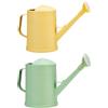 NONE Annaffiatoio Annaffiatoio con beccuccio lungo con testa di spruzzo staccabile Annaffiatoio per fiori da 2 litri Annaffiatoio per piante per piante domestiche