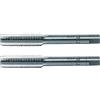 BGS 1900-M10X1.25-B | Set di maschi | M10 x 1,25 | 2 pz.