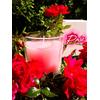 HGD Bicchiere votivo Rose, Grande, Cera, ramato