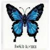 RIOLIS - Happy Bee - Ulysses Butterfly (14 Count) HB095, Punto croce 13x13cm, Punto croce kit da ricamare, Disegni da ricamare, Embroidery kit, Kit ricamo punto croce