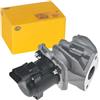 HELLA 6NU 010 171-101 Valvola ricircolo gas scarico-EGR, 12V, elettrico, con guarnizione, con morsetto