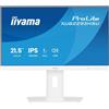iiyama XUB2293HSU-W7 Monitor ProLite 22' IPS 100Hz HAS XUB2293HSU-W7