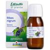 Boiron Estratti di Piante Ribes nigrum Gemme Boiron - Integratore Alimentare, Ingredienti 100% origine naturale, Macerato Glicerinato di ribes nero (Gemme) - Flacone 60 ml (1x60 ml) con bicchiere dosatore