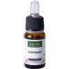 SOLIME' Srl CENTAURY 10ML