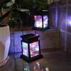 SPORTARC Lampada da Giardino Decorativa, Lampada Solare LED per Esterni, Impermeabile (003)