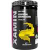 Anderson - XAMIN - 312g (aminoacidi) LEMON