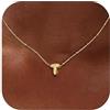Milacolato Collana Con Iniziale Personalizzata Nome Collana Argento 925 Donna Placcata Oro 18K Ciondolo Collana Con Lettera Iniziale Regalo Ragazza Mamma Compleanno-GT