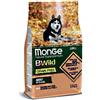 MONGE CANE CROCCHETTA BWILD GRAIN FREE ALL BREEDS ADULT SALMONE E PISELLI 2,5 KG