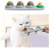 STARROAD-TIM Palla da parete con erba gatta, giocattoli per denti di gatto, palline rotanti commestibili pulite per gatti sani e naturali