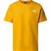 THE NORTH FACE T-shirt NSE Box