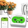 RAINPOINT Sistema di Irrigazione Automatica WiFi, Controllo Remoto Tramite APP, Irrigazione a Goccia per Piante da Interno con cicli di irrigazione e Immersione, Sistema Automatico, Fino a 15 Piante