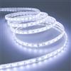 ELETTROLUCESTORE strip striscia led bobina 5 metri ip65 72w 24v impermeabile 300smd 5050 luce fredda 5400lumen 1555