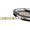 ELETTROLUCESTORE strip led striscia 12v 90w luce fredda ip20 smd5730 027
