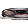 ELETTROLUCESTORE striscia strip led 12v 48w luce fredda 6000Â°k ip68 stagna smd3528 004