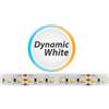 ELETTROLUCESTORE strip striscia led 12v ip68 72w luce calda/fredda smd 5025 025