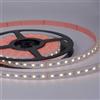 ELETTROLUCESTORE strip led cc30096 rgbw 4in1 96w 19.2w al metro ip65 24v rgb+3000k 5081