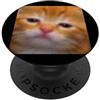 Cat Kitten Meme Funny Humor Graphics Foto di meme sfocata del gattino arancione divertente del gatto PopSockets PopGrip Adesivo