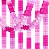 Bluelves Ghirlande Rosa, 6pcs Quadrifoglio Trifoglio Festoni Rosa, Ghirlanda da Appendere Carta per Bambina Donna Compleanno Battesimo Baby Shower Matrimonio Feste Decorazione