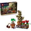 LEGO, Harry Potter LEGO Harry Potter TM Piante di erbologia di Hogwarts™ - 76474