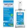 WELEDA ITALIA Srl Deodorante spray salvia 100 ml
