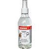 Kores - Detergente Spray per Lavagne Bianche, Adatto all'Utilizzo a Scuola, in Ufficio e a Casa, Pulizia a Secco, Rispettoso dell'Ambiente, Confezione da 1 x 250 ml