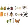 Eurowagens Figurine Ciclistiche Di Farfalla Ape Coccinella Libellula Insetto Plastica