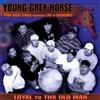 Young Grey Horse Loyal to Tha Old Man (CD) Album