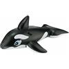 INTEX DEVELOPMENT COMPANY LTD CAVALCABILE 58561 ORCA 193X119CM