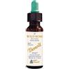 ALCHIMIA BENOIT Srl Fiori di Bach, Wild Rose, 10 ml