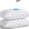UNILIBRA Federa per cuscino impermeabile trapuntata king size (set da 2), con cerniera, silenziosa, traspirante, colore bianco (53 x 91 cm)
