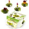 Creano Set di Tè Fiorito "Teelini" in formato di Tazza - 8 Fiori di Tè Verde di 4 Varietà Diverse - Regalo Gourmet, Facile da Preparare, Elegante Presentazione