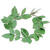 Bristol Novelty BA480, Corona d'Alloro, Verde, Taglia Unica