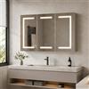 YGHQAP Armadietto a specchio da bagno con illuminazione a LED, 3 ante in vetro, 100 x 13,5 x 60 cm, antiappannamento, con presa, 3 temperature di colore, ripiani regolabili regolabili (3 ante, 7 scomparti)