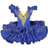 HWBZSZY Professionale Balletto Tutù Vestito Bambini Colorato Lago dei Cigni Ballerina Partito Danza Costume Lucido Paillettes Ginnastica Danza Body Sala da ballo Dancewear per le ragazze,Blue 1,170cm